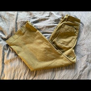 Everlane Wide Leg Crop Pants